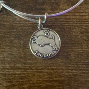 Taurus Alex and Ani bracelet
